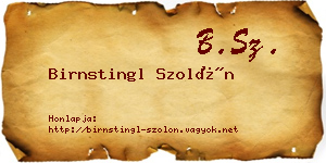 Birnstingl Szolón névjegykártya